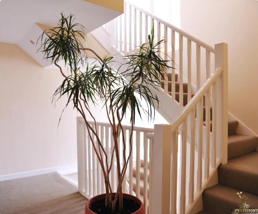 Smythen St, 2 Bed Apartment With Balcony Exeter Exterior foto